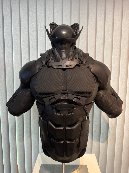 Generic ‘Hybrid’ Combo (Neck/Shoulders/Arms/Chest/Abs) Set